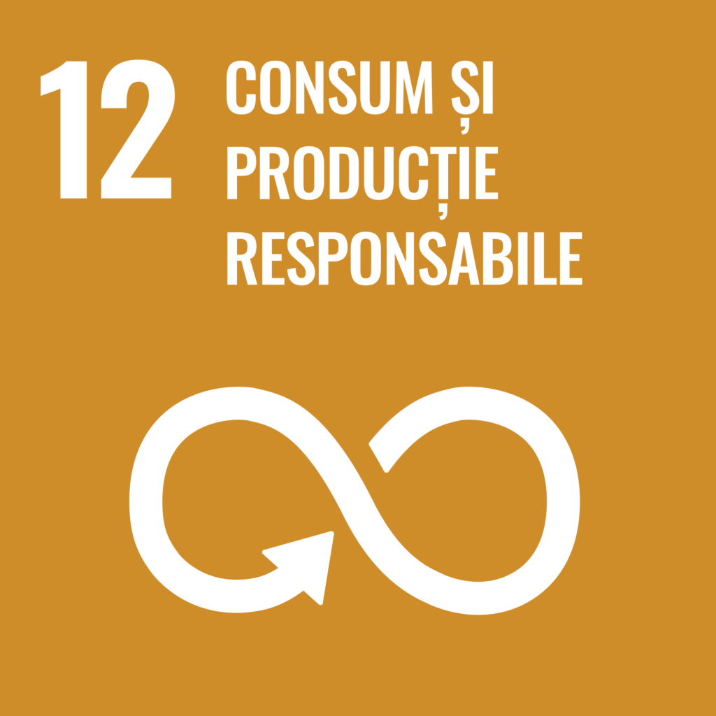 Romanian_SDG_icon_12