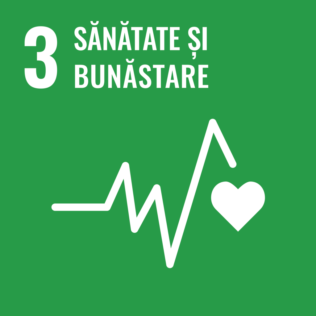 Romanian_SDG_icon_3